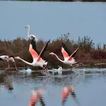 Lu' מלון קרלופורטה