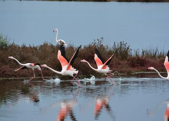 Lu' Riviera - Otel Carloforte (Isola di San Pietro)
